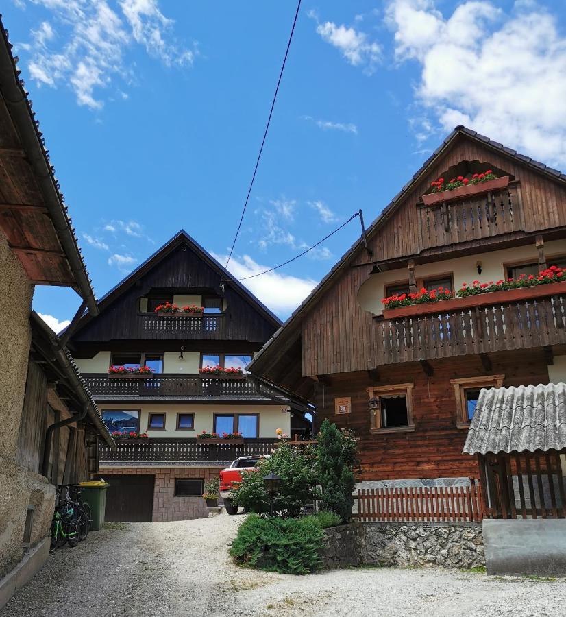 Apartmaji Pavc ボーヒニ エクステリア 写真
