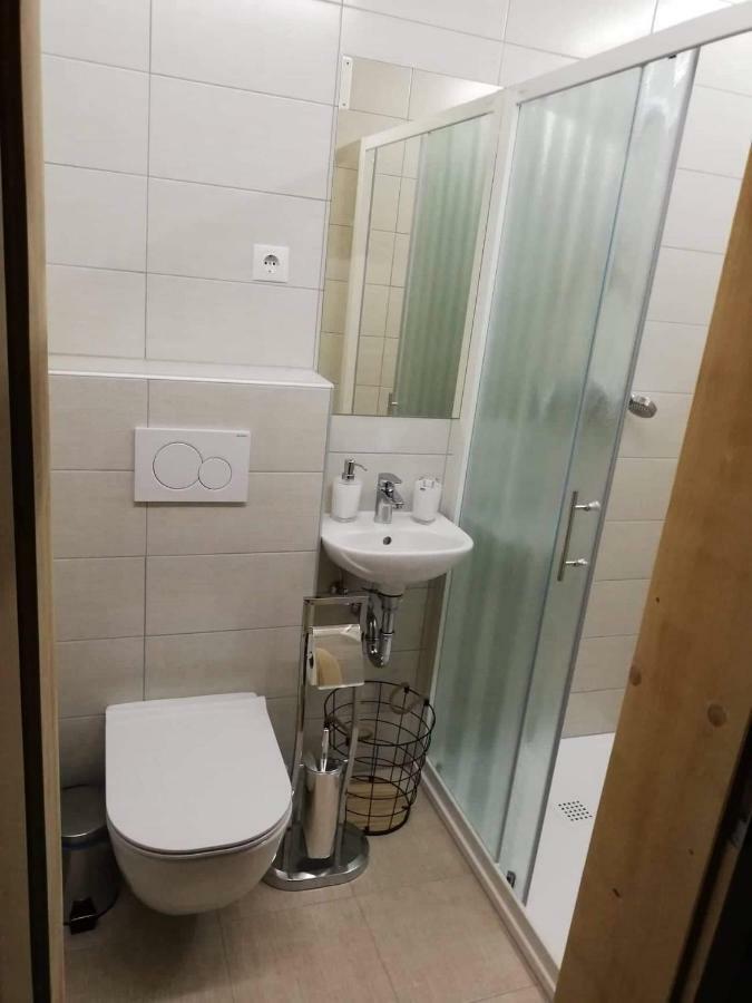 Apartmaji Pavc ボーヒニ エクステリア 写真